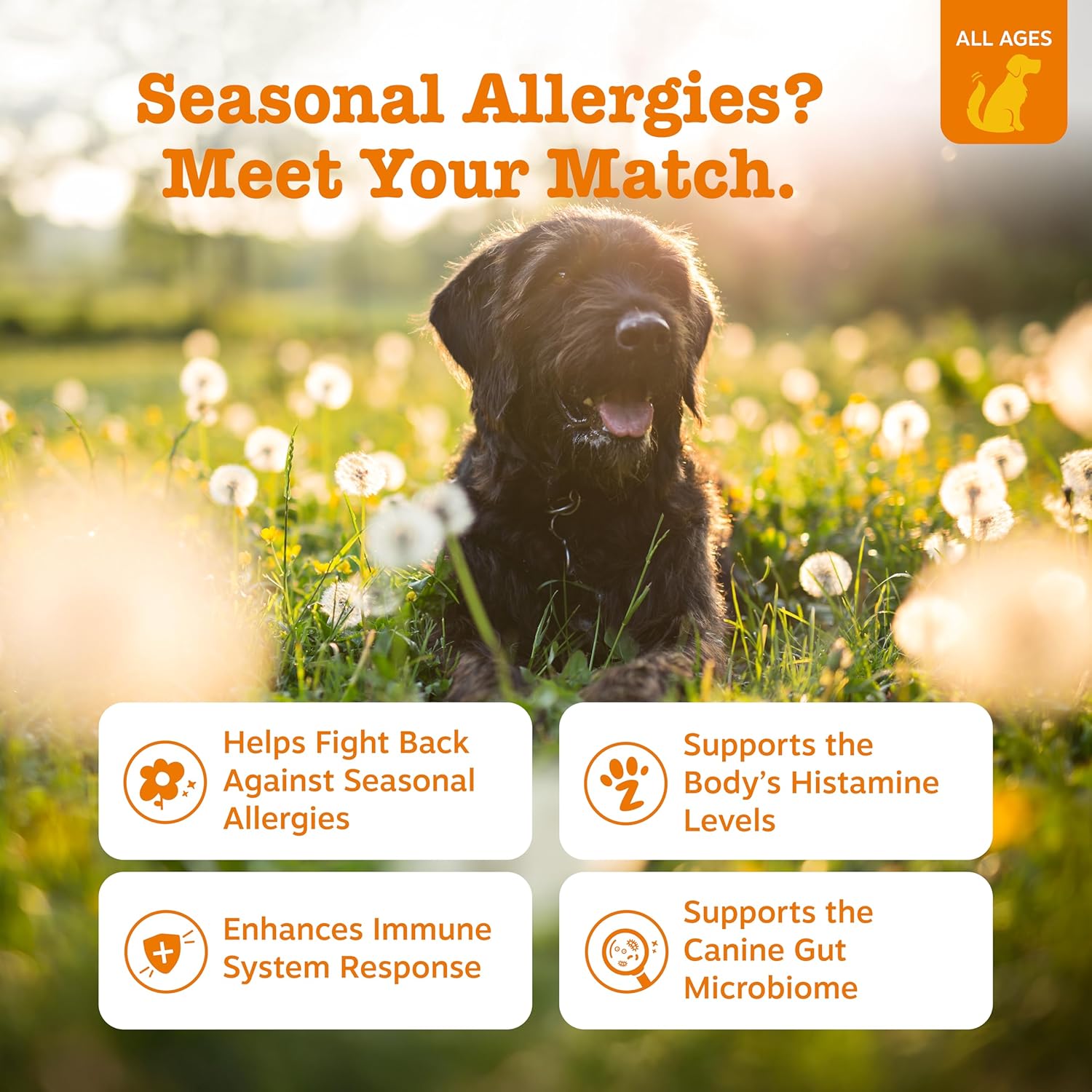 Relief Chews for Dog Allergy Issues