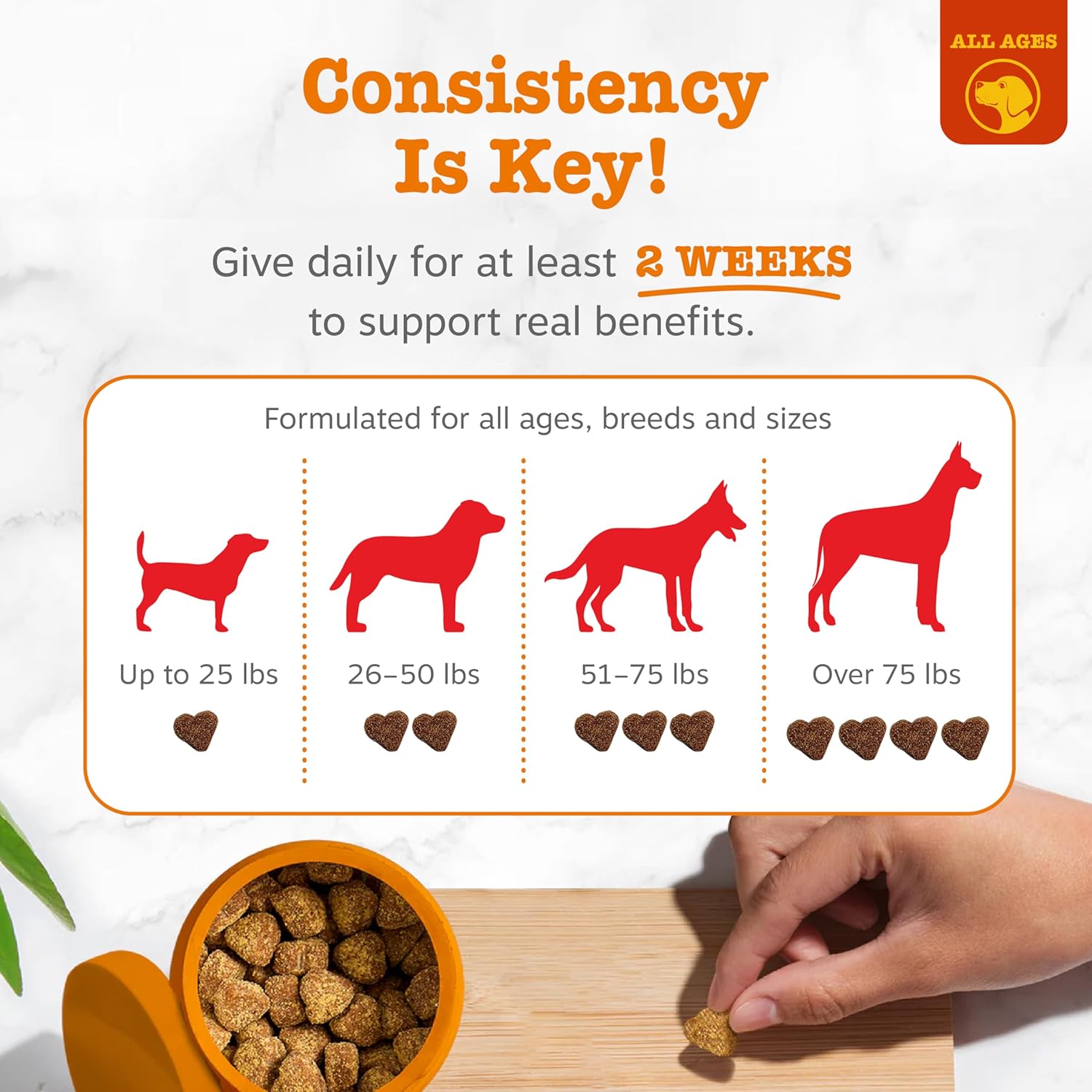 Relief Chews for Dog Allergy Issues