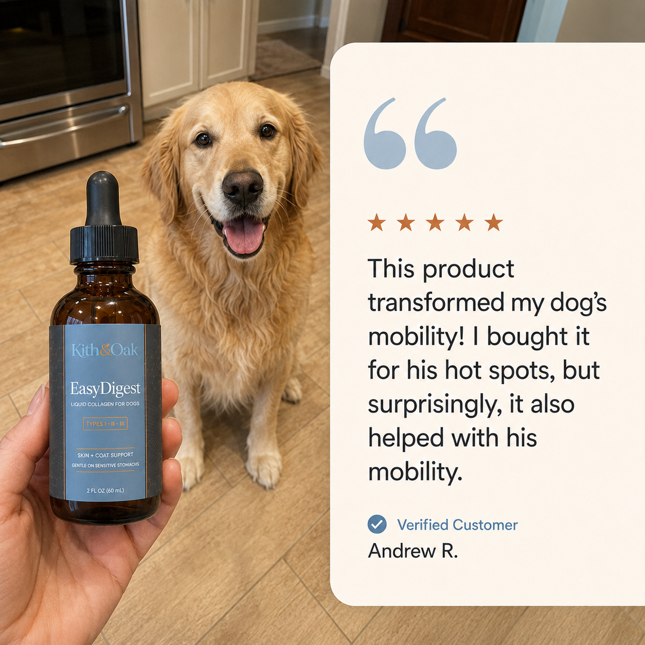 Relief Your Dog Won't Refuse