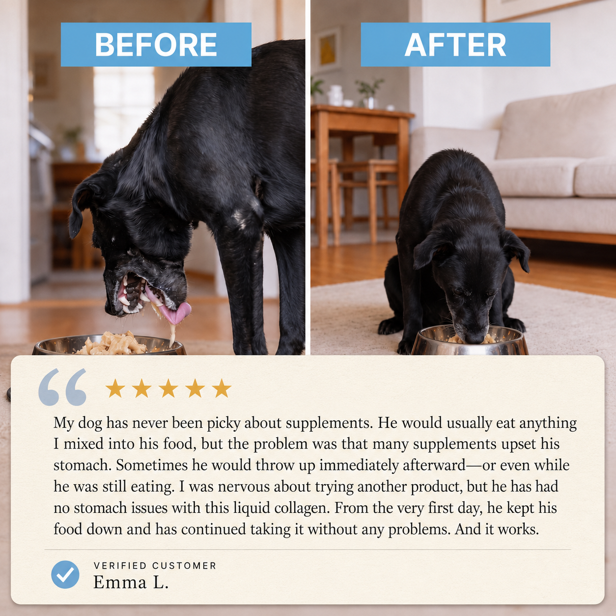 EasyDigest™ Liquid Collagen for Pets
